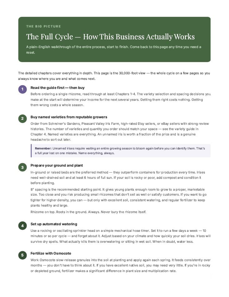 How this business works